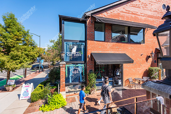 431-w-franklin-ext1305