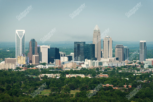 charlotte-cbd-h-0648