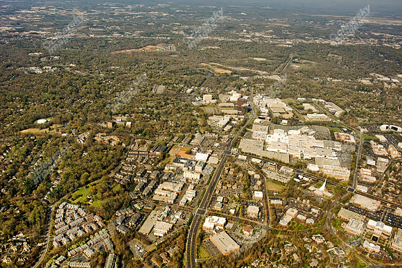 ashley-park-a-423