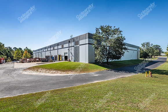 8005-purfoy-ext9195