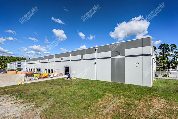 8005-purfoy-ext9625