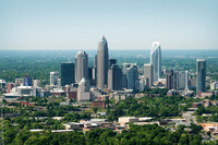 charlotte-cbd-h-0695