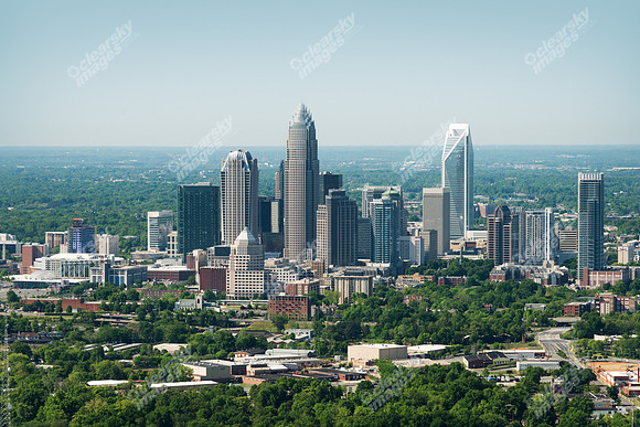 charlotte-cbd-h-0695