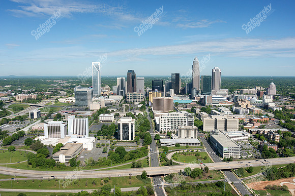 charlotte-cbd-h-0738