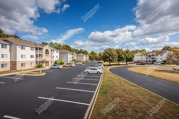 4250-branch-ext3597