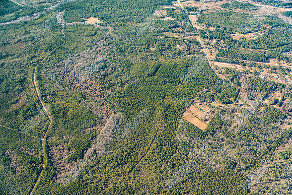 160-great-oak-air-7589