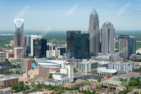 charlotte-cbd-h-0749