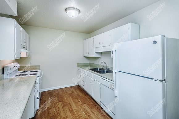 200-berryhill-int3482