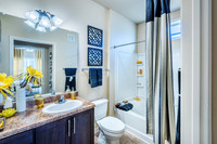 1000-broadstone-int8406