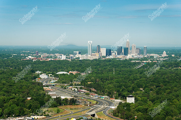 charlotte-cbd-h-0645