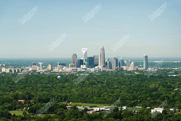 charlotte-cbd-h-0666