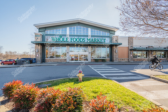 1556-w-mcewan-ext-tri7333