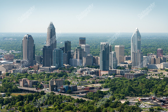 charlotte-cbd-h-0706