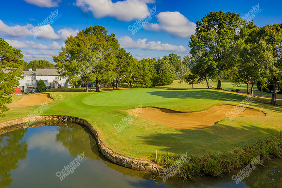 50-golf-examples-drn-0509