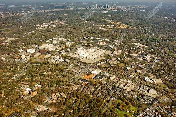 ashley-park-a-333