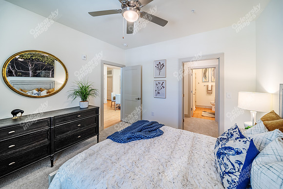 2545-jessamine-int-w18278