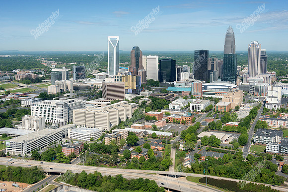 charlotte-cbd-h-0746