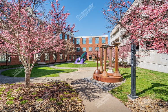 appalachian-sac-ext7615