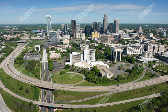 charlotte-cbd-h-0737
