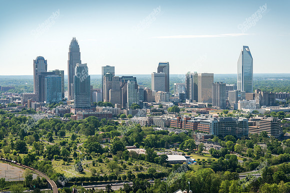 charlotte-cbd-h-0713