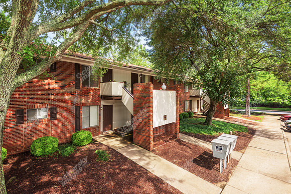 bella-cove-ext-3711