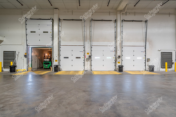 4035-reynolds-int09225