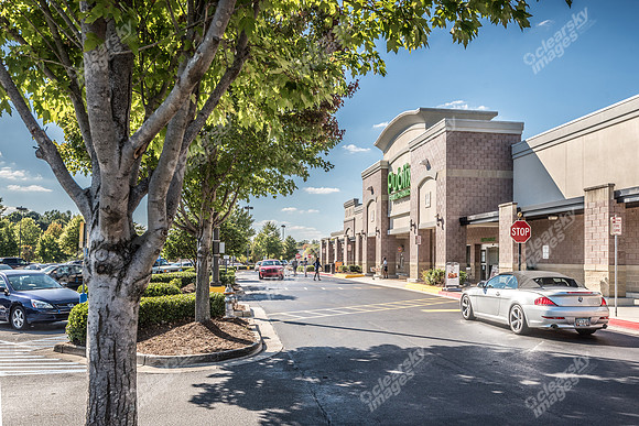 publix-princeton-lakes-ext-2781