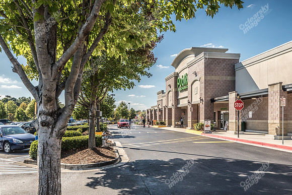 publix-princeton-lakes-ext-2778