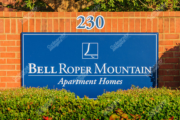 230-roper-mountain-rd-greenville-sc-520