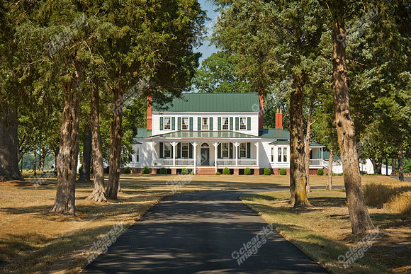 grimesland-plantation-815