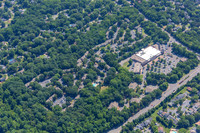 4012-quail-forest-air-2255