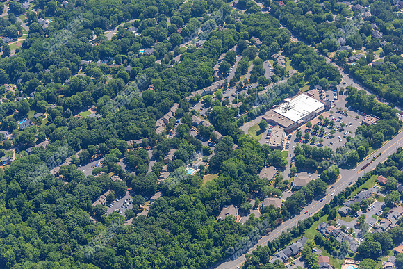 4012-quail-forest-air-2255