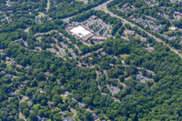 4012-quail-forest-air-2266