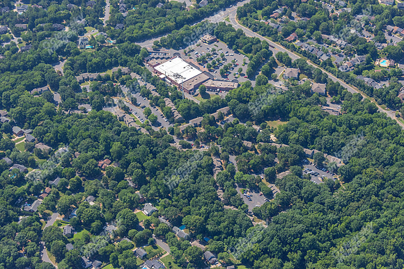 4012-quail-forest-air-2266