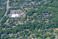 4012-quail-forest-air-2272