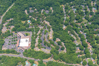 4012-quail-forest-air-2290