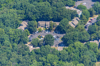 4012-quail-forest-air-2311