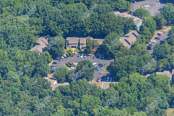 4012-quail-forest-air-2311
