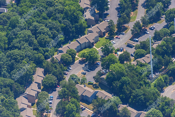 4012-quail-forest-air-2324