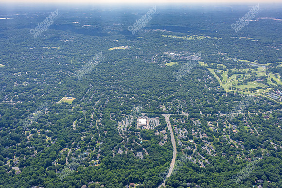 4012-quail-forest-air-2330