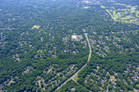 4012-quail-forest-air-2331