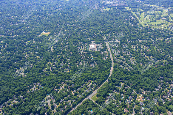 4012-quail-forest-air-2331