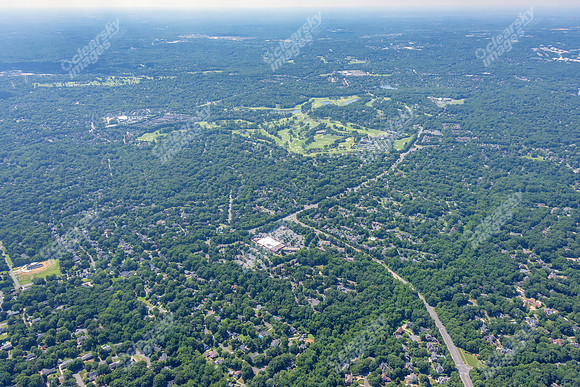 4012-quail-forest-air-2335