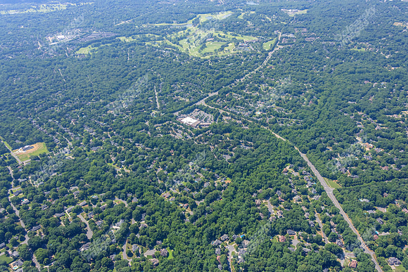 4012-quail-forest-air-2340