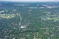 4012-quail-forest-air-2345