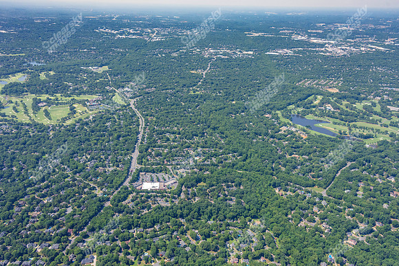 4012-quail-forest-air-2345