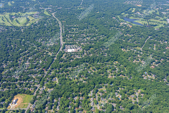 4012-quail-forest-air-2350