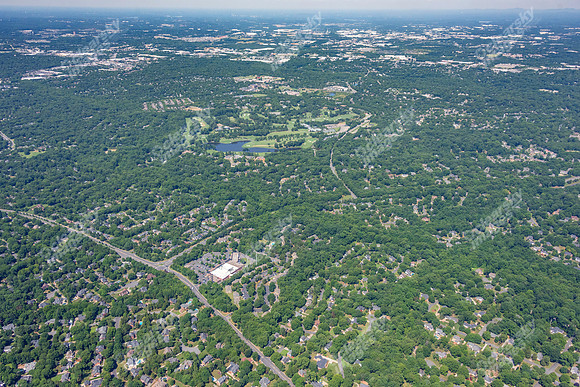 4012-quail-forest-air-2354