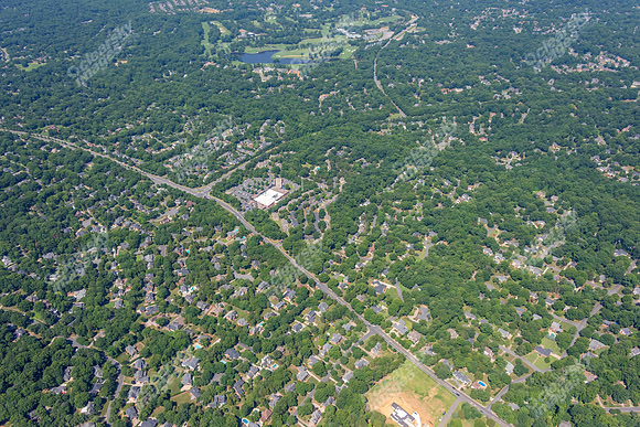 4012-quail-forest-air-2357