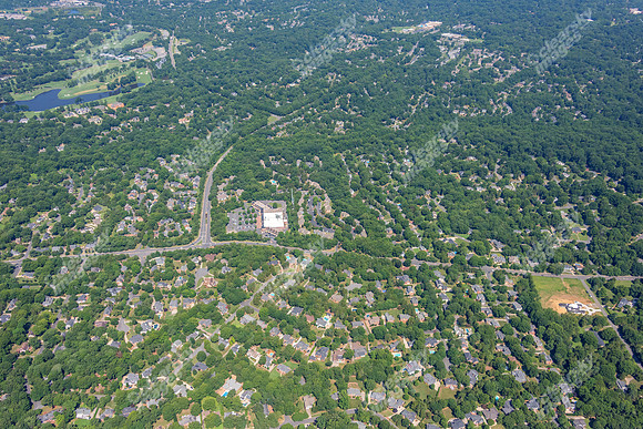 4012-quail-forest-air-2365